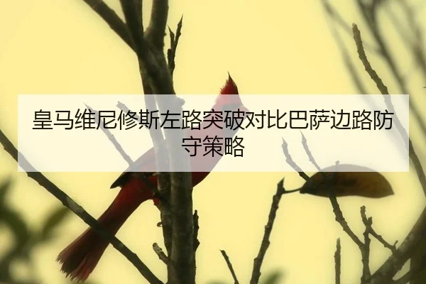 huang-ma-wei-ni-xiu-si-zuo-lu-tu-po-dui-bi-ba-sa-bian-lu-fang-shou-ce-lve-2-365.jpg