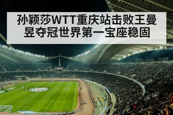 sports stadium crowd